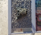 2018 07 SD 054